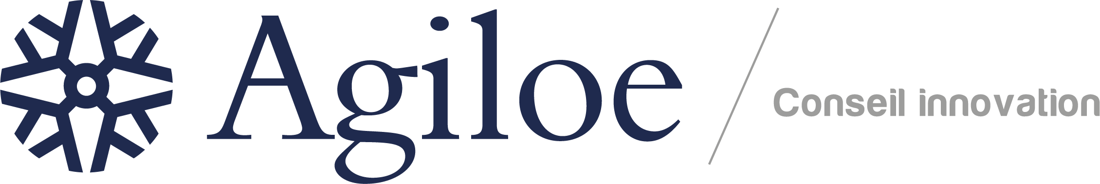 logo agiloe conseil innovation