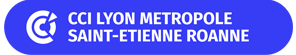 cci lyon metropole saint etienne roanne