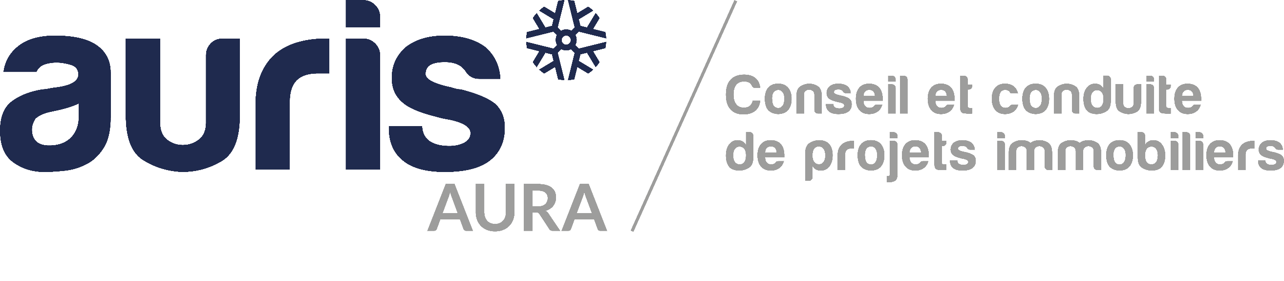 logo auris aura