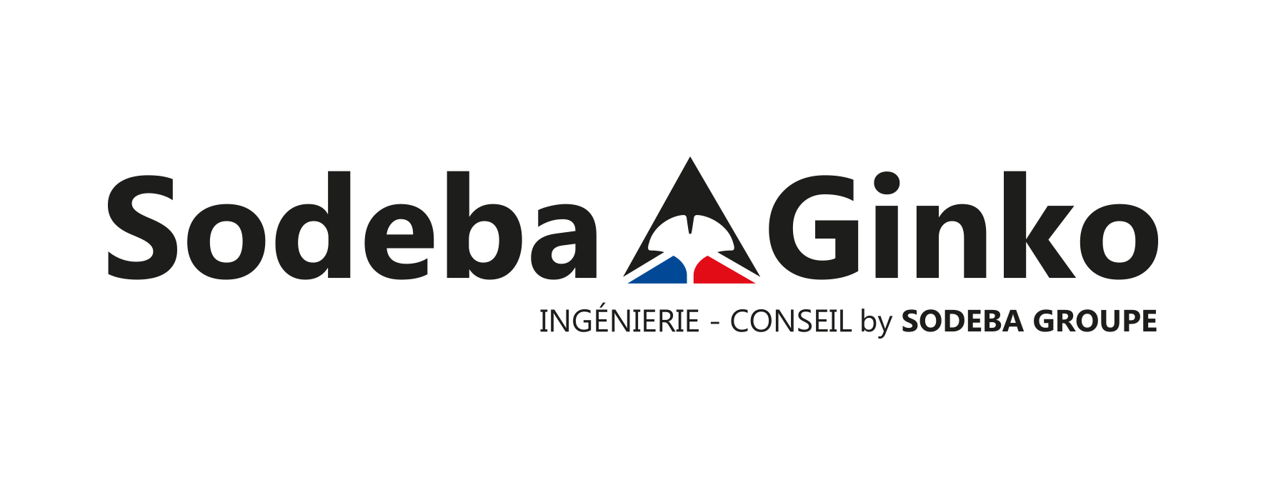 logo groupe sodeba ginko