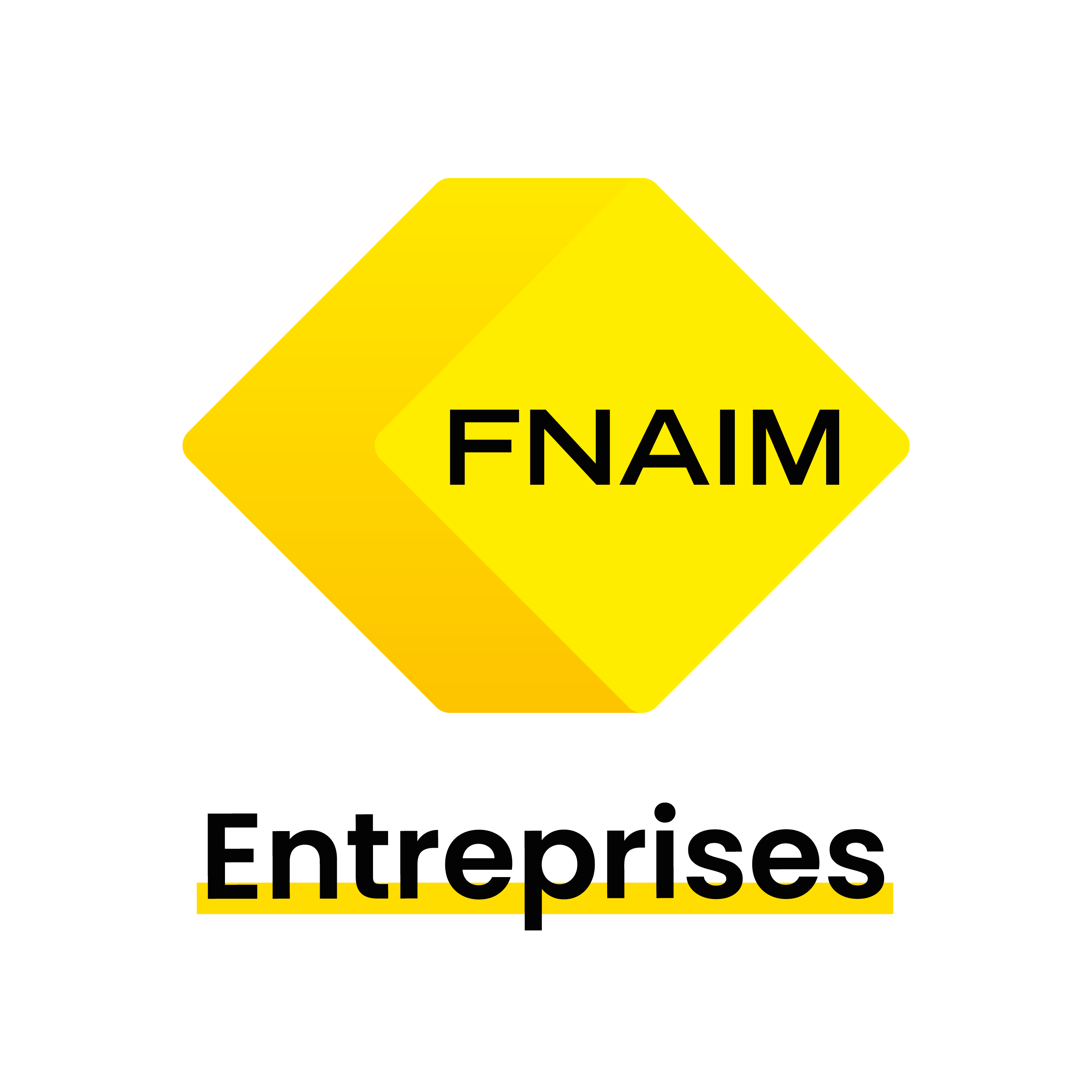 fnaim entreprises